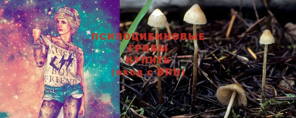 спиды Магадан