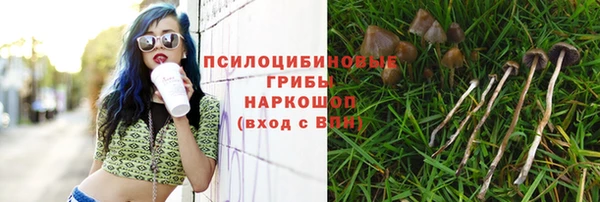спиды Магадан