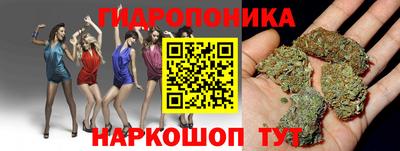 крисы Тула
