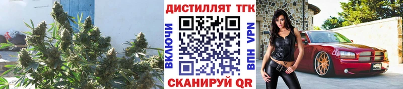 ТГК концентрат  kraken маркетплейс  Снежинск 