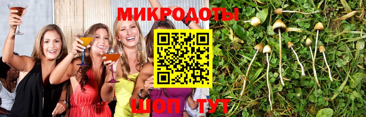 Снежинск  Галлюциногенные грибы Psilocybe  Вход с VPN 