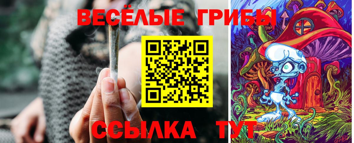 Псилоцибиновые грибы MAGIC MUSHROOMS Снежинск